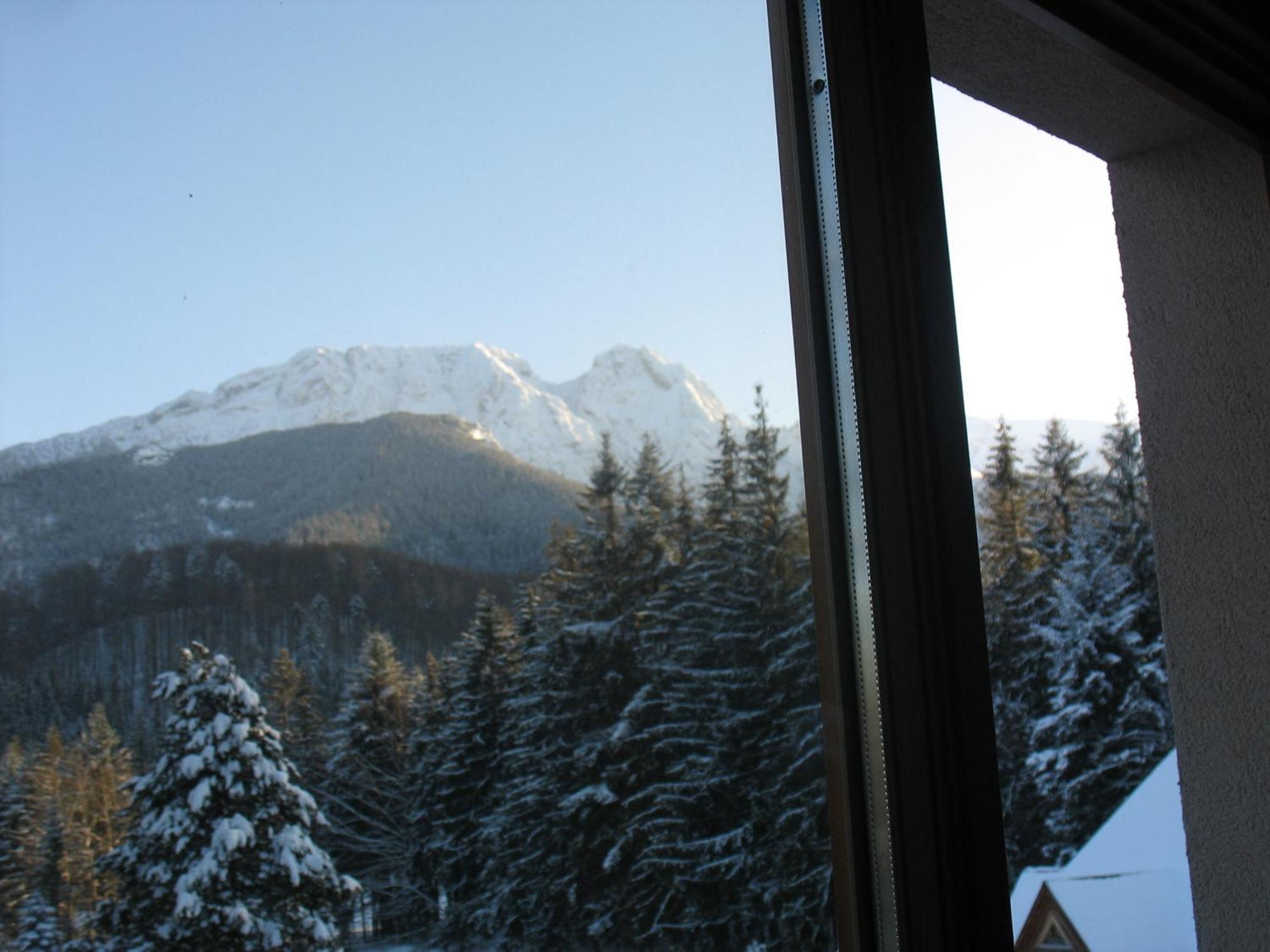 Willa Otulina Pod Giewontem Zakopane Exterior photo